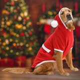 Paws &amp; Whiskers Crvena Džemper za Pse za Božić | Eponuda.com