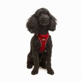 Paws & Whiskers Am za pse Air-Mesh, Crveni | Eponuda.ba