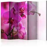 Artgeist Paravan Pink Orchid, 5-Delni, Dvostranski | Shoptok.si