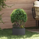 Crna Vrtni lonček Črna 30 x 30 x 20 cm Jeklo | Shoptok.si