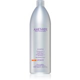 FarmaVita Amethyste Hydrate hranilni šampon za suhe lase 1000 ml Cene