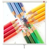 Avtek International Wall 175 projection screen 16:10 | shoptok.hr