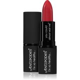 Antipodes Moisture-Boost Natural Lipstick hranjivi ruž za usne nijansa Remarkably Red 4 g | shoptok.hr