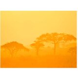  Tapeta - Orange savanna 400x309 | shoptok.hr