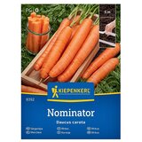 KIEPENKERL Zelenjavna semena Korenje Nominator F1 (Daucus carota subsp. sativus, Čas žetve: Junij) | Shoptok.si