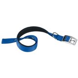 Ferplast ogrlica za pse Daytona C15/35 cm, plava | shoptok.hr