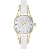 Paul Lorens Ura PL8154A3C2 pisana | Shoptok.si