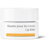 balzam za usne 4.2ml