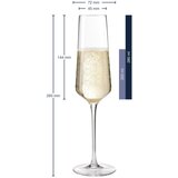 Leonardo čaša za šampanjac 280ml PUCCINI 069550 Cijene