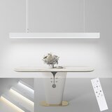 Nettlife LED viseča svetilka, bela, moderna, premer 107 cm, aluminij, 32 W, zatemnilna z daljincem, linearna oblika, (22122998) | Shoptok.si