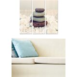 Wallity MDF1058367 multicolor decorative mdf painting (3 pieces) Cene