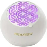 "Flower" Aroma Ventilator