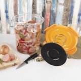 Orion Komplet za fermentiranje 4 l – | Shoptok.si