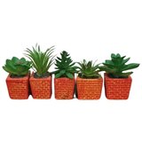 Dekordom cvet u saksiji - succulent cube 654 - N44 cene