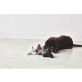 MiaCara Igračka za psa Quattro Dusty Green S/M – | shoptok.hr