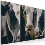  Slika - Piebald cow 60x40 Cijene