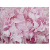  Tapeta - azalea (pink) 300x231 | shoptok.hr