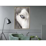  Poster - Azure Eye 20x30 | shoptok.hr