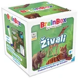 Živali