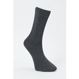 ALTINYILDIZ CLASSICS Men's Gray Single Socks with Bamboo. Cene