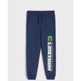 Sinsay Jogger hlače Minecraft | shoptok.hr