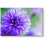  Slike na platnu cveće | ePonuda.com