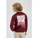 Defacto Boy's Back Printed Crew Neck Thick Sweatshirt Cene