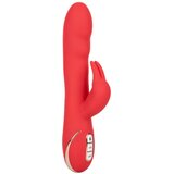 California Exotic Novelties grelni ultra soft rabbit vibrator "jack rabbit" - rdeč (R12434) | Shoptok.si