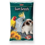 Padovan Hrana za ptice Suncokret srednje zrno 500gr | ePonuda.com