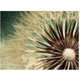  Tapeta - Focus on dandelion 200x154 | shoptok.hr