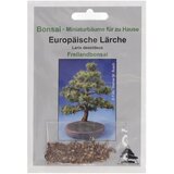 TROPICA Evropski macesen Cene