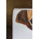 Conceptum Hypnose tepih (100x300) WOOKECE082 | Eponuda.com