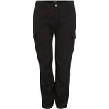 Dickies Cargo hlače crna Cijene