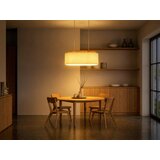 Globo VISEČA SVETILKA Jannie 70/30/150 cm E27 | Shoptok.si