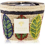 Baobab Collection Ravintsara Lamba mirisna svijeća 24 cm | shoptok.hr