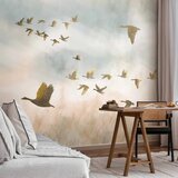  Foto tapeta - Golden Geese 500x350 Standard | shoptok.hr