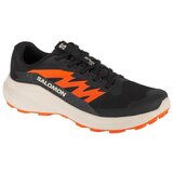 Salomon Alphaglide sarena Cijene