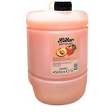  Šampon za sve tipove kose Billur Breskva – 4500 ml | Eponuda.ba