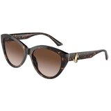Jimmy Choo Naočare za sunce JC 5007 500213 | ePonuda.com