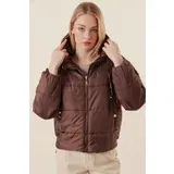 Bigdart Winter Jacket - Brown - Puffer