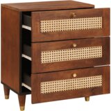 vidaXL Noćni ormarići Smeđa Stol i čvrsto drvo manga od trske | shoptok.hr