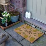 Artsy Doormats Predpražnik iz kokosovih vlaken 40x60 cm Hello Lemons – | Shoptok.si