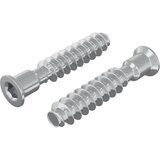vidaXL Šefasta vijak 2 pcs srebrna M7 x 40 mm Jeklo, (5000163870) | Shoptok.si