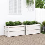 Maison Chic Vrtno cvetlično korito - Cvetlični Lonec 2 kosa bela trdna borovina, (21790524) | Shoptok.si