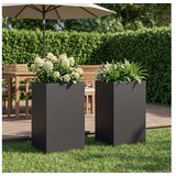 vidaXL Vrtna saksija 2 kom. Crna 40 x 40 x 50 cm Čelična vrata - Crna 40 x 40 x 50 cm 2 | shoptok.hr
