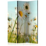 Artgeist PARAVAN 135/172/3 cm zelena, pastelno modra Slike