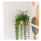 WALLXPERT decorative pot zlatna saksija payanda gold | ePonuda.com