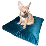 Spot Pet jastuk plišani 70x90 /17 cm-XL Cene