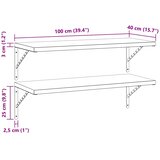  Zidne police 2 kom 100 x 40 cm srebrne nehrđajući čelik | shoptok.hr