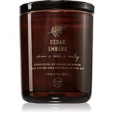DW Home Fall Cedar Embers mirisna svijeća 262 g | shoptok.hr